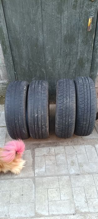 Продам резину б/у 14