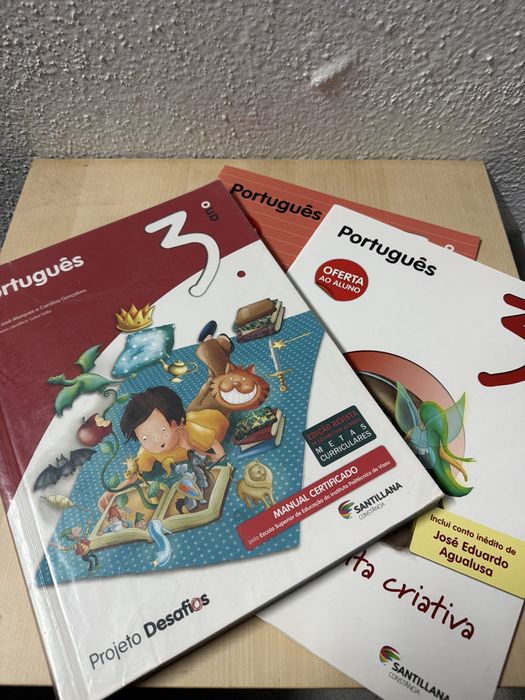 Livro Fichas e Manuais Escolares 3º Ano