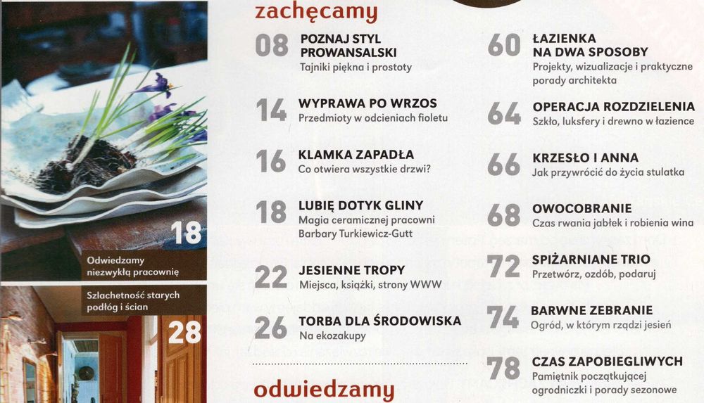Dom z Pomysłem 1/2008 Kominek kaloryfer czy ogrzewanie podłogowe?