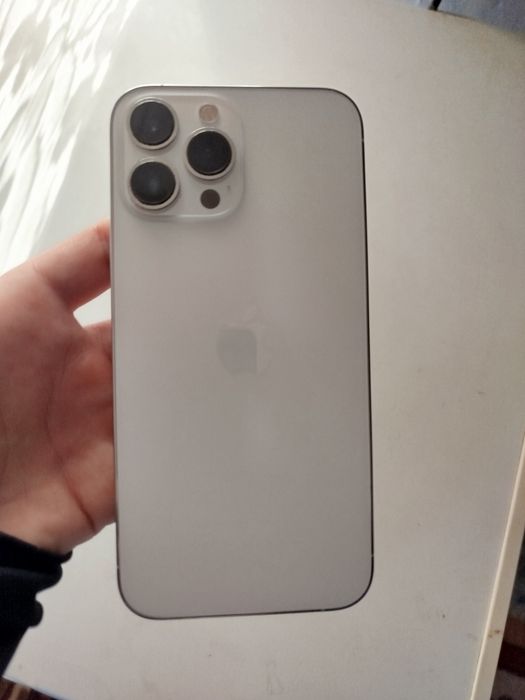 iPhone 13 pro max