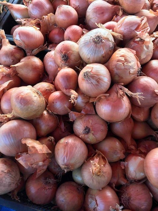 Warzywa ziemniaki hurt detal