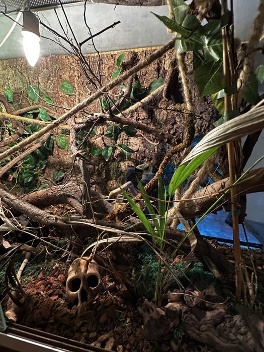 Ogromne piękne szklane terrarium okazja!!!