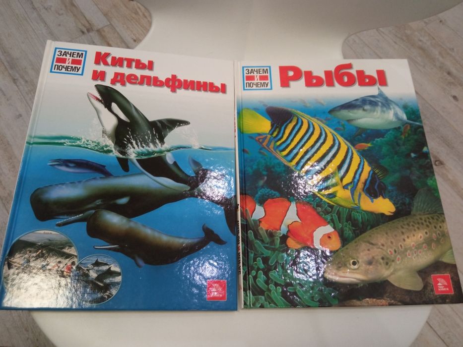 2кн Зачем и почему Киты и дельфины Рыбы - книги серии