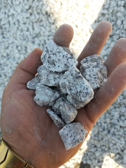 Grys granitowy kamień dalmatyńczyk kamień ozdobny kamień ogrodowy