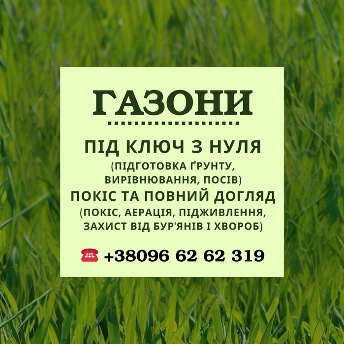 Газон: з нуля, покіс, догляд