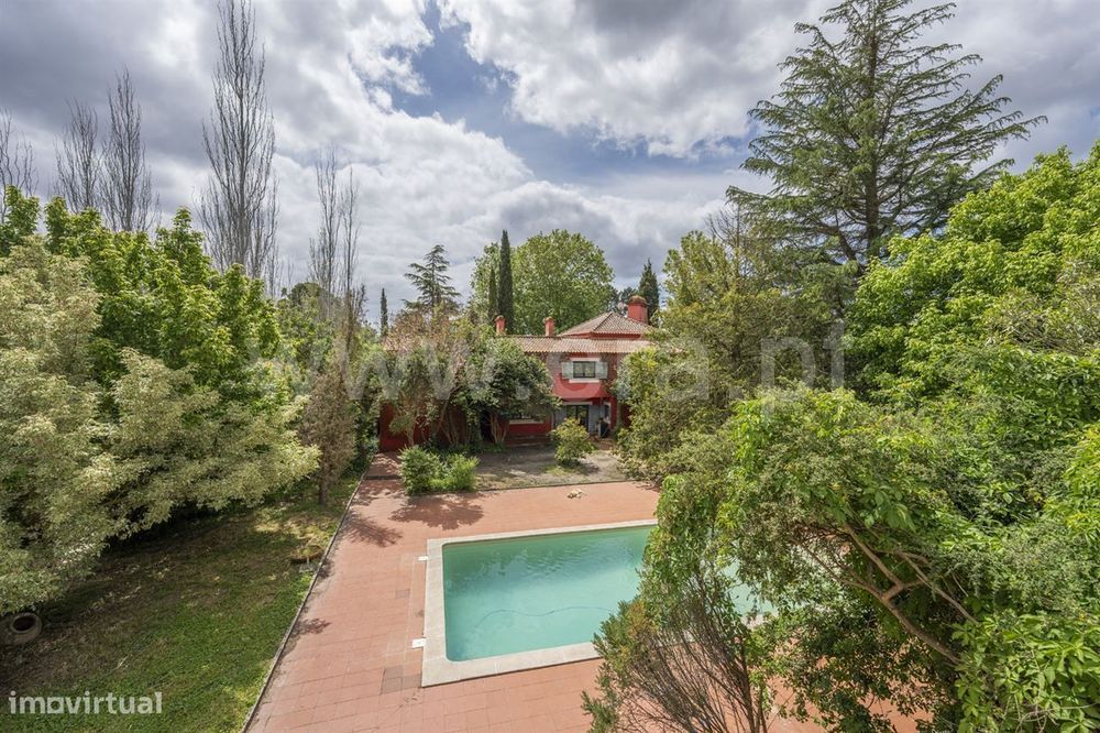 Magnifica Quinta T7; Verdizela