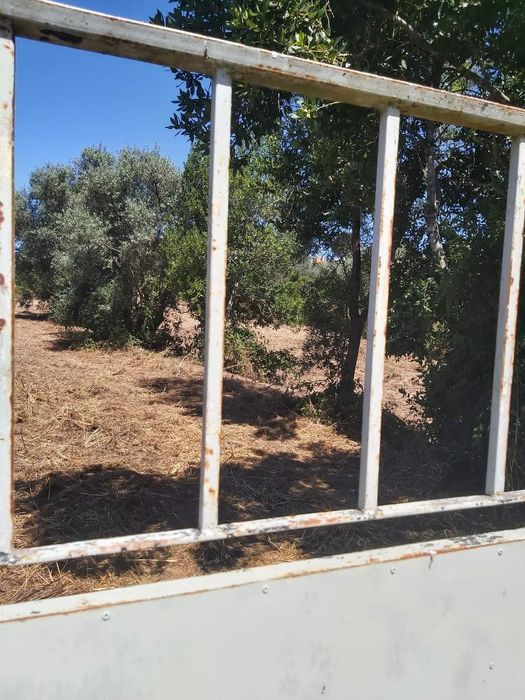 Vendo terreno urbano em Santarém