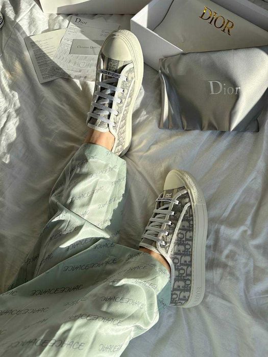 Dior Sneakers Low Grey Premium