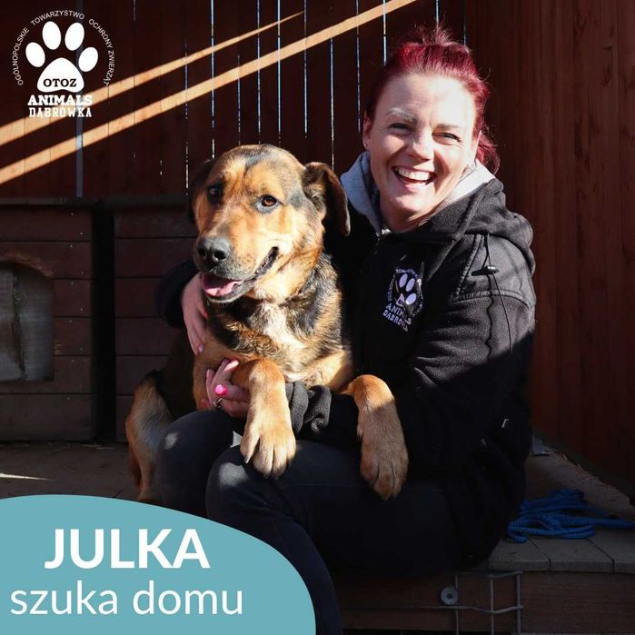 Julka szuka domu!