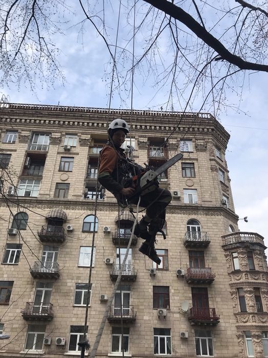 Обрезка деревьев,сада, спил деревьев,расчистка участка,работаем с ОСББ