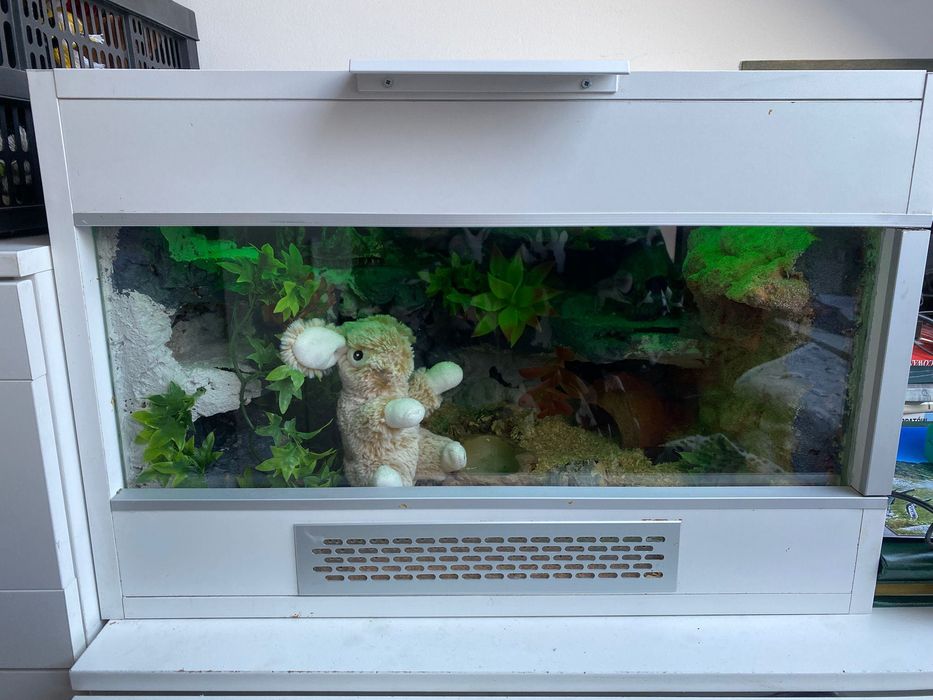 Terrarium  z wyposażeniem. 60/40/40 cm