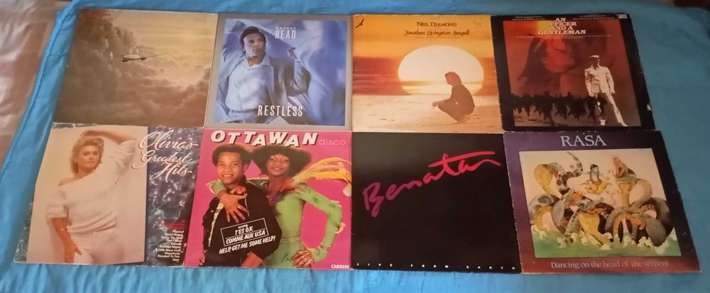 --» 33 Discos de Vinil (LPs) «--