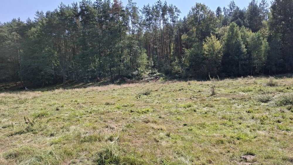 Dzialka 2000m2. Piękne ciche miejsce.