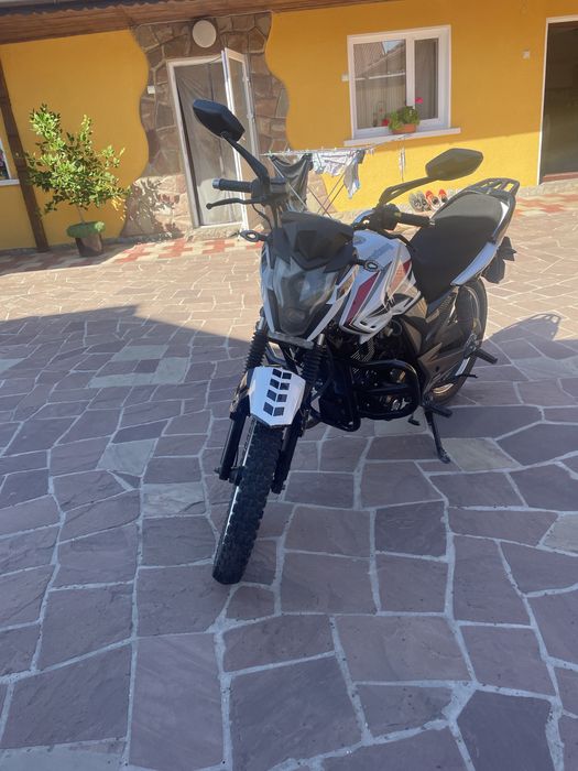 Мустанг Регіон 200