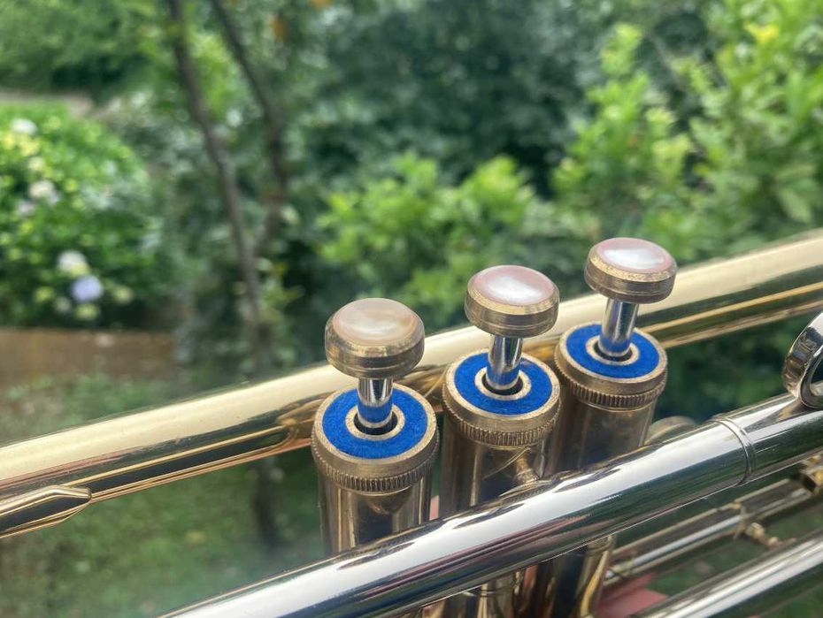 Trompete com estojo rígido de transporte