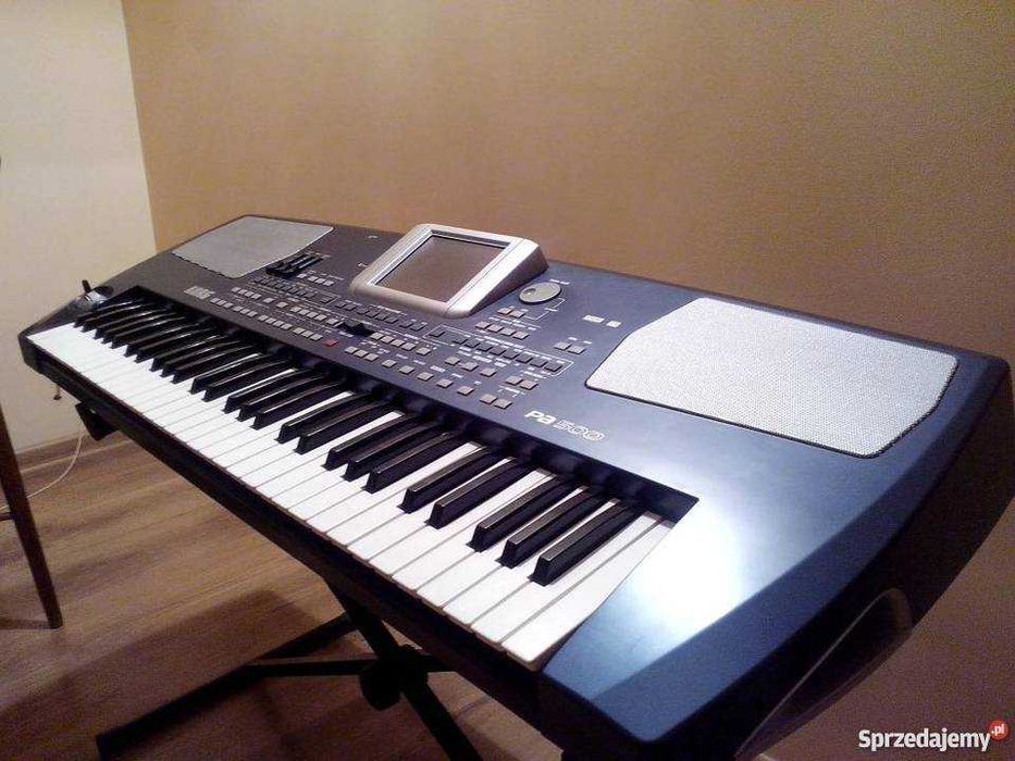 Korg Pa500 SD - karta SD 256 MB do keyboardu