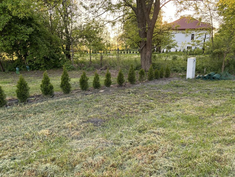 Działka budowlana na sprzedaż – Chutcze, gm. Sawin - Widok 5