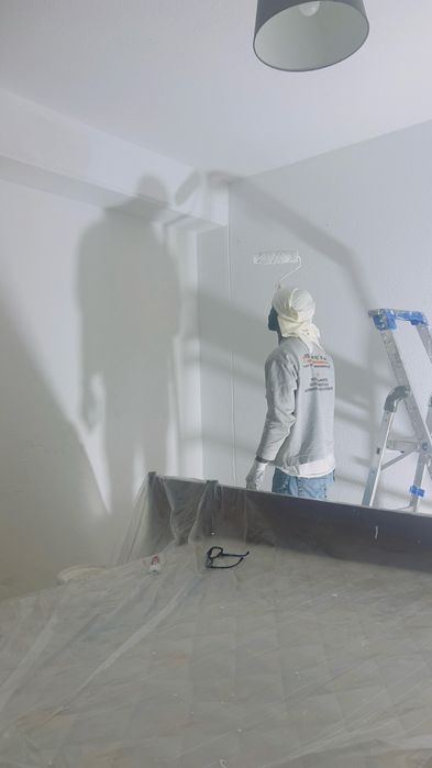 Profissional de Pinturas