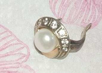 Пропала серёжка в районе Мотор Сич