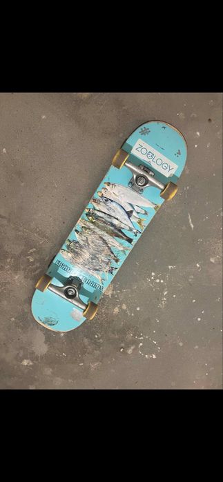 Deskorolka fish skateboards