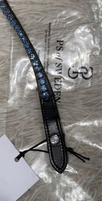 Naczółek Ps of Sweden