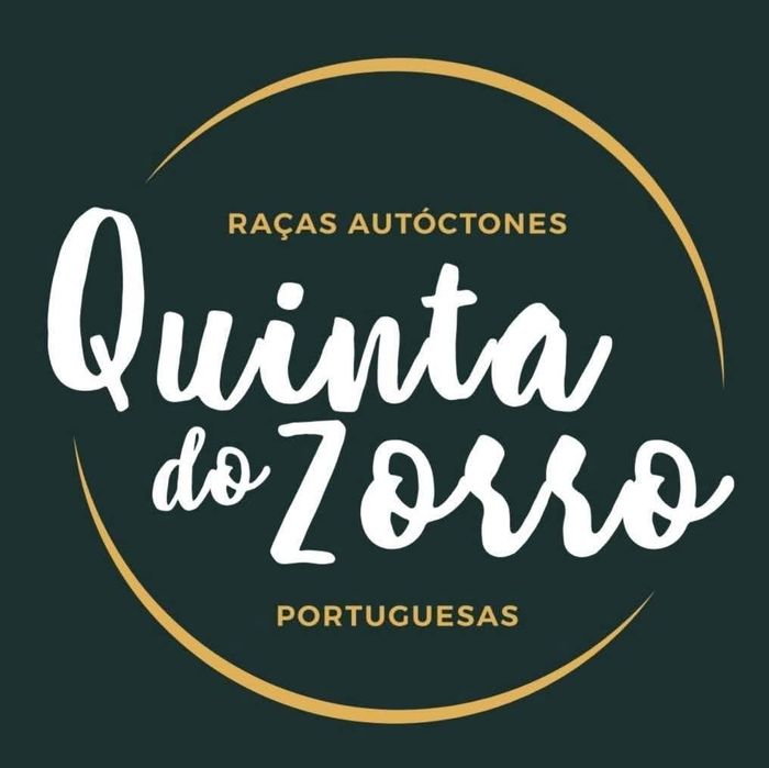 Ovos para incubação- raças autóctones