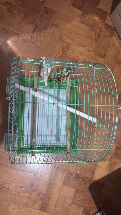 Gaiola para passarinho