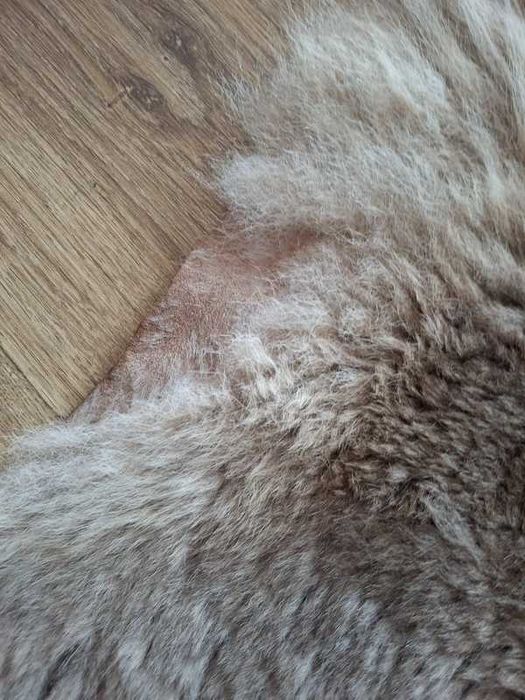 Authentic Australian Kangaroo wool – Large 145 × 113 cm From Australia