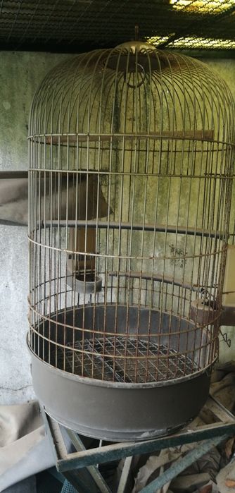 Gaiola para pássaros