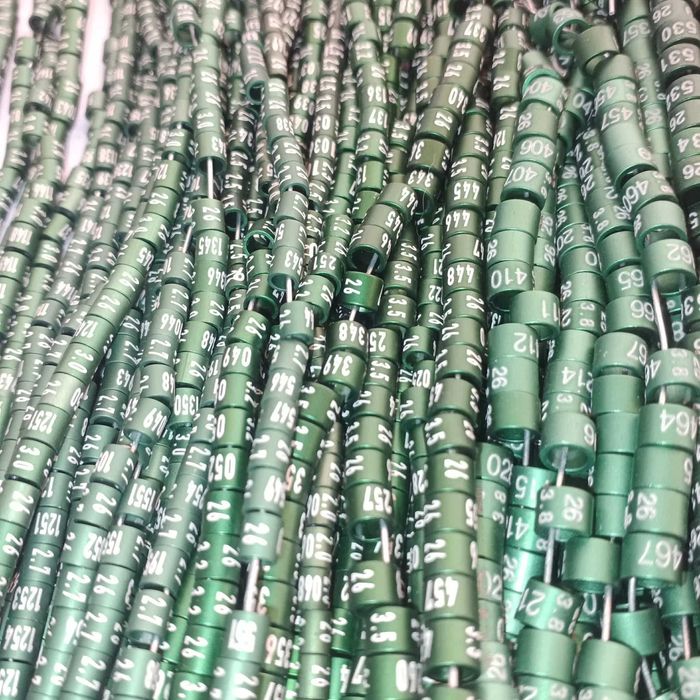 Anilhas de alta qualidade para aves pequeno porte 2025/26