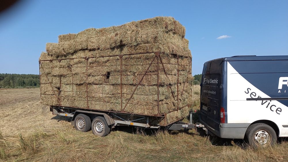 сіно    ЗЛАКОВЕ,  лугове,  польове