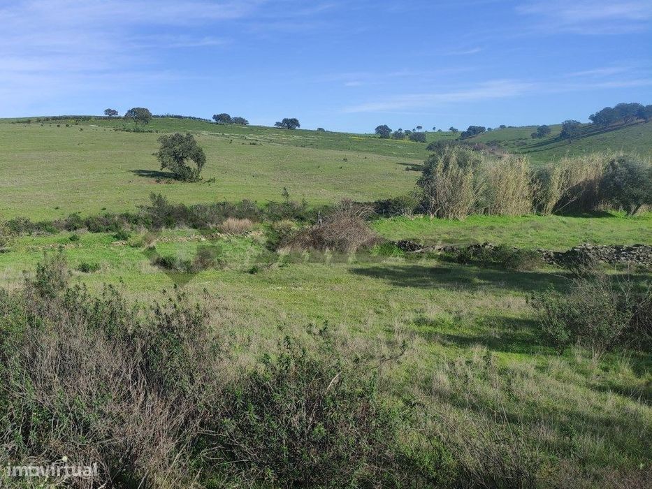 Rustic land of 0.65 Ha located approximately 250 meters from the locality...