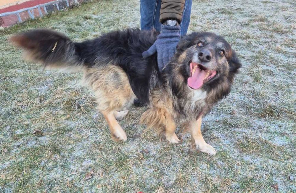 Matka z synem szukają domu