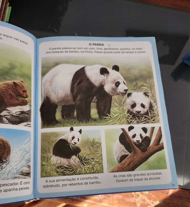 Colecção Livros dicionário por imagens