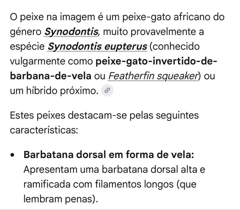 Peixes de aquario