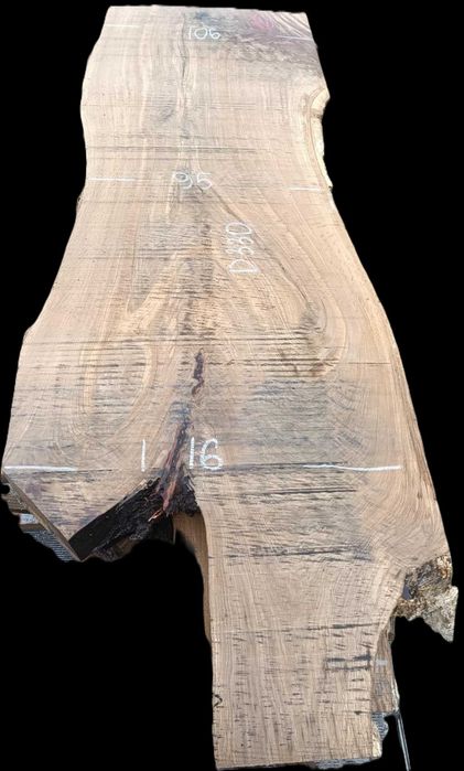 deski dąb dębowe monolity