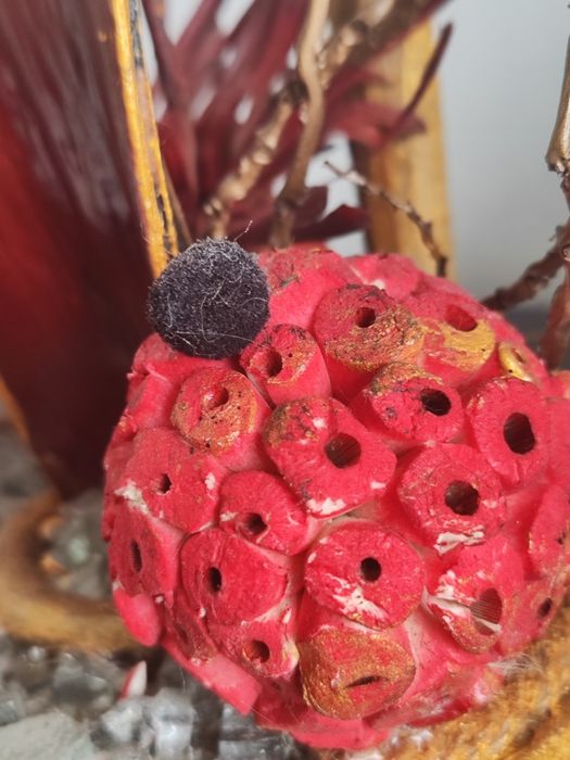 Vaso Vermelho Impactante
