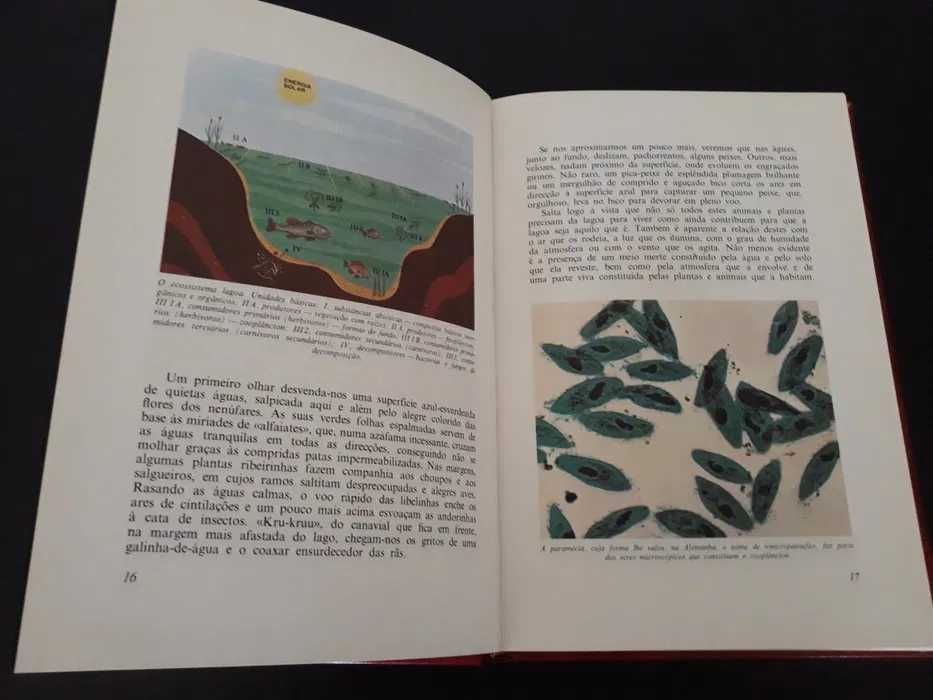 Magnífica Coleção de Livros "Este Planeta em que Vivemos"