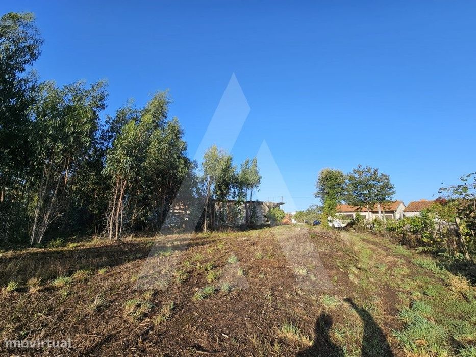 Terreno a cerca de 10 minutos de Aveiro
