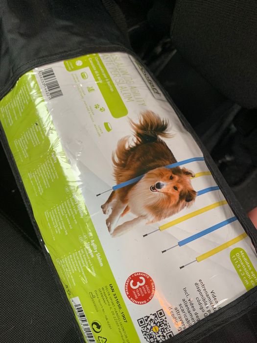 Obstáculos treino de animais cão