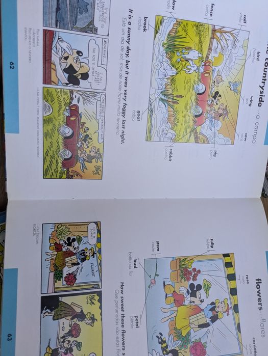 Dicionário Ilustrado Inglês Português