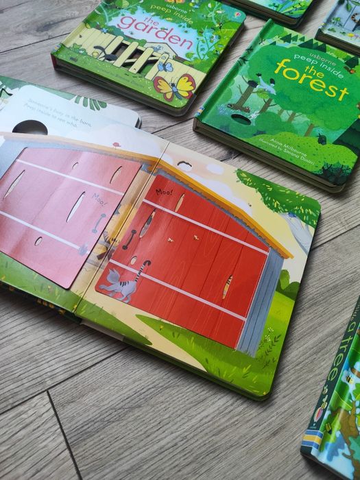 8 książeczek z serii peep inside usborne