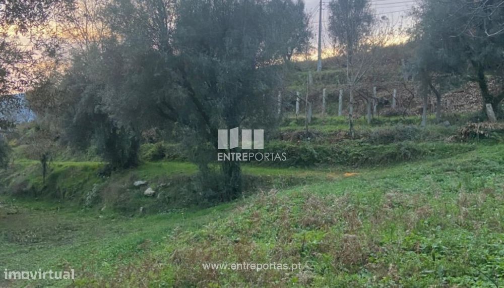 Venda de terreno para construção com 3580m², Cepões, Ponte de Lima — Calheiros, Viana do Castelo