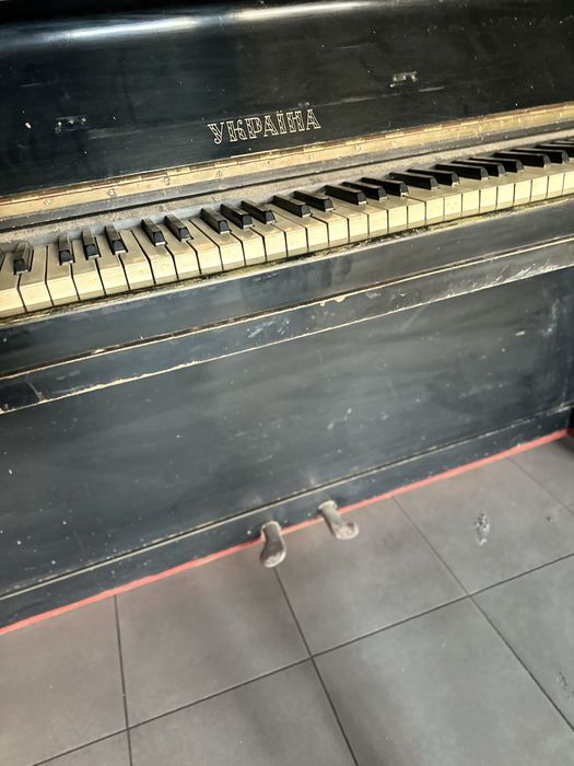 Віддам безкоштовно