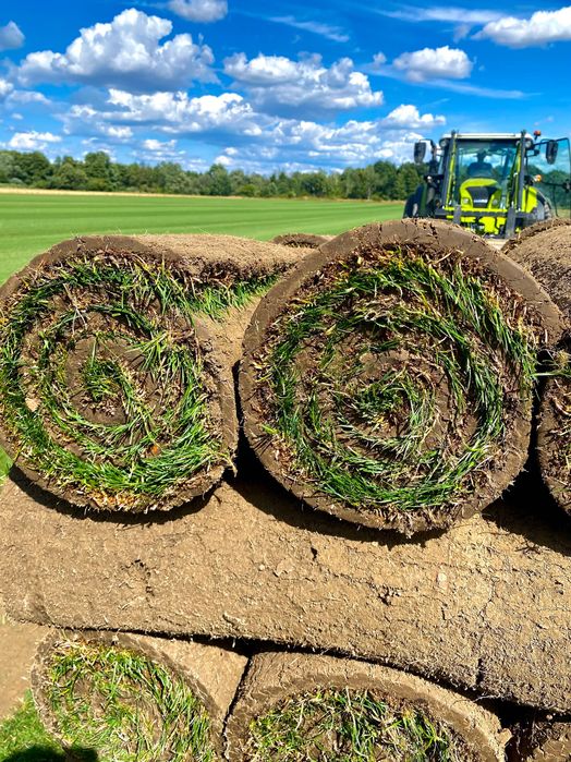 Premium trawa w rolce- producent