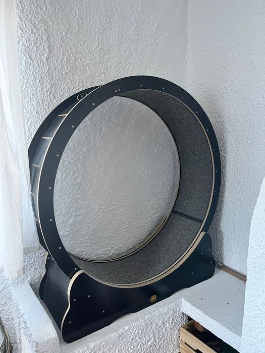 Roda/esterira para gatos
