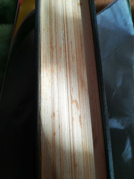 Mandingo de Kyle Onstott