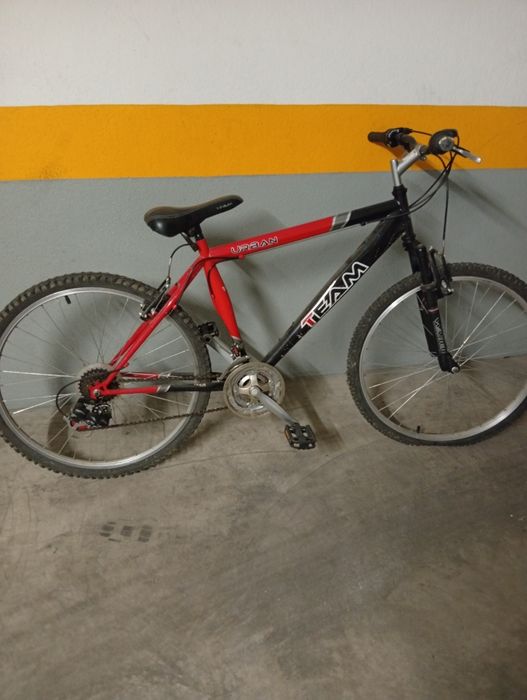 Bicicleta adulto