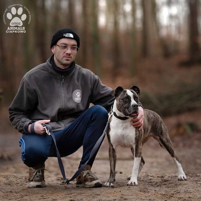 Shila czeka na Ciebie w OTOZ Animals Scgronisku Ciapkowo!