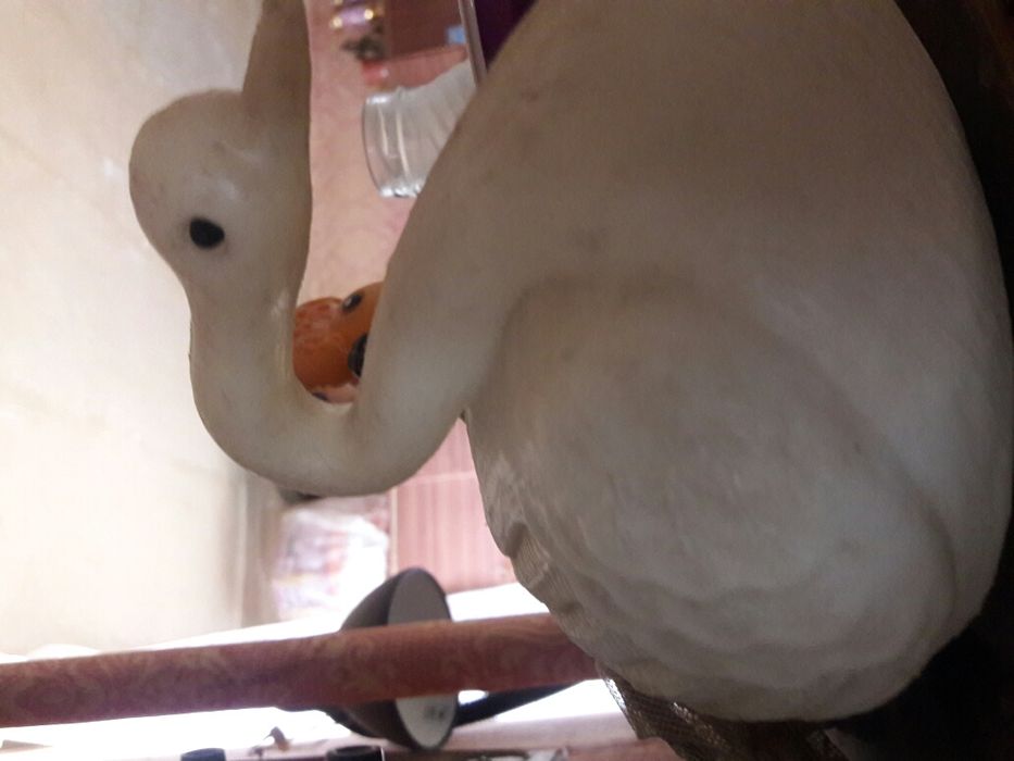 Игрушка петушок  и лебедь